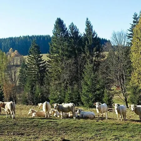 Sajmon So Saunou Апартаменты *