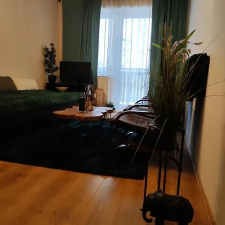 Apartment Sajmon So Saunou *