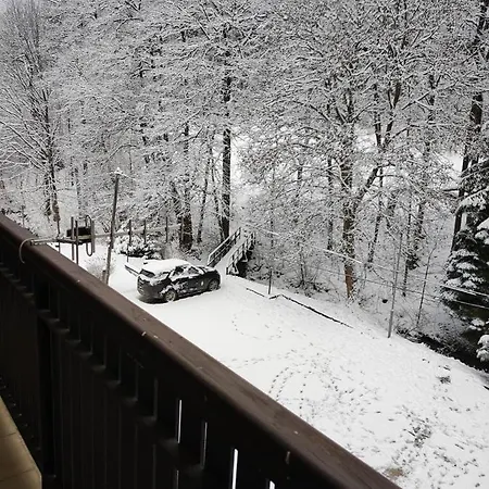 Апартаменты Sajmon So Saunou *