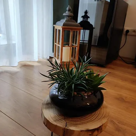 Sajmon So Saunou Daire