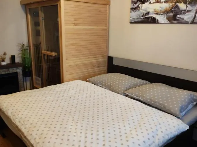 Sajmon So Saunou Apartman