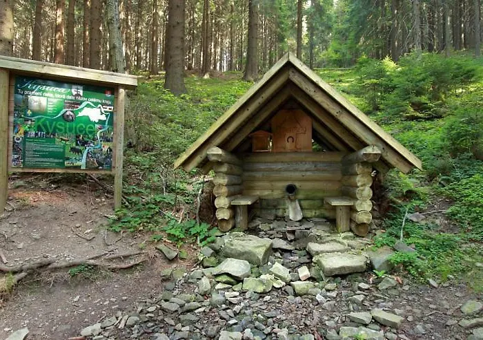 Apartman Sajmon So Saunou Trencsénmakó