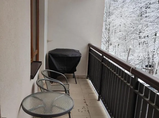 Apartman Sajmon So Saunou *