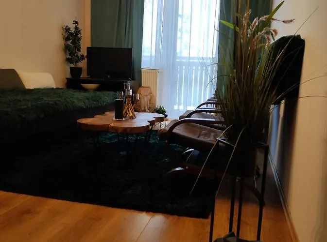 Apartman Sajmon So Saunou *