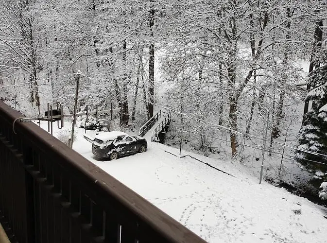 Apartman Sajmon So Saunou *