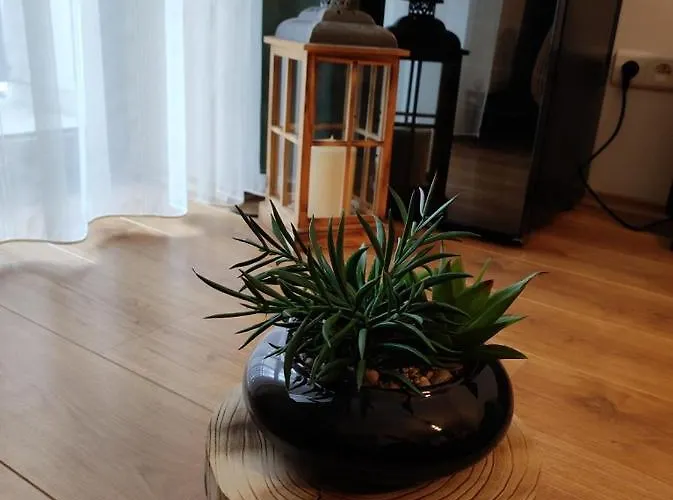 Sajmon So Saunou Apartman